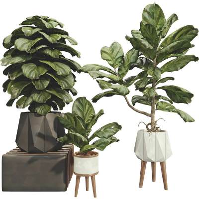 现代绿植盆景-49